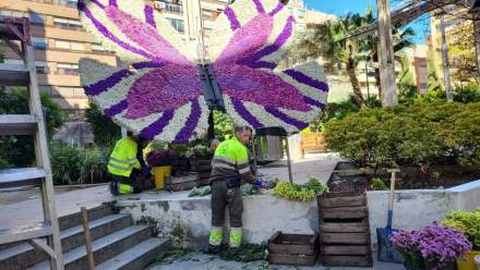 Jardín 16