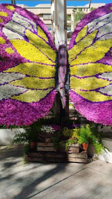 Jardín 17