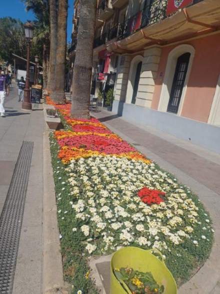 Jardín 19