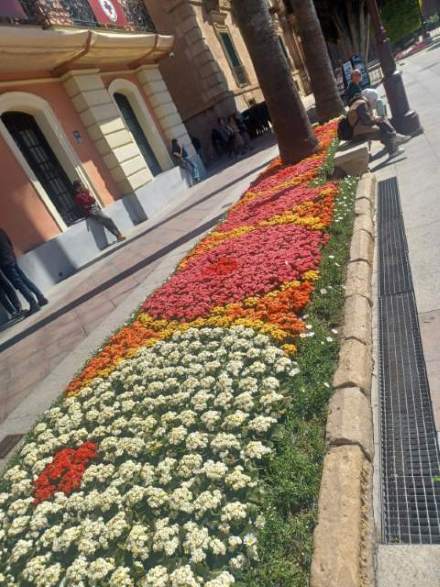 Jardín 20