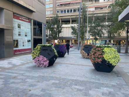 Jardín 7