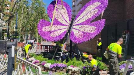 Jardín 31