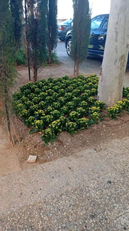 Jardín 28