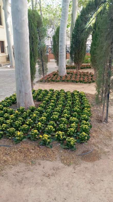 Jardín 29