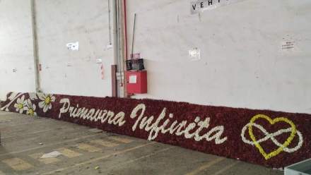 Jardín 48