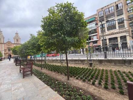 Jardín 52