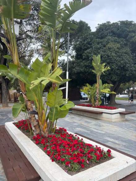 Jardín 64