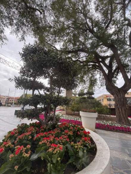 Jardín 65