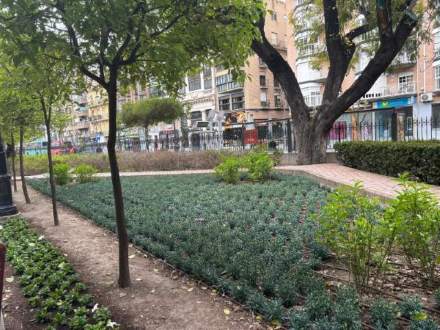 Jardín 54