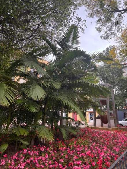 Jardín 56