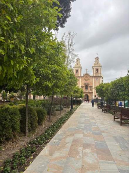Jardín 51