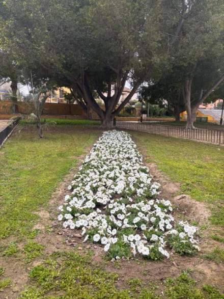 Jardín 67