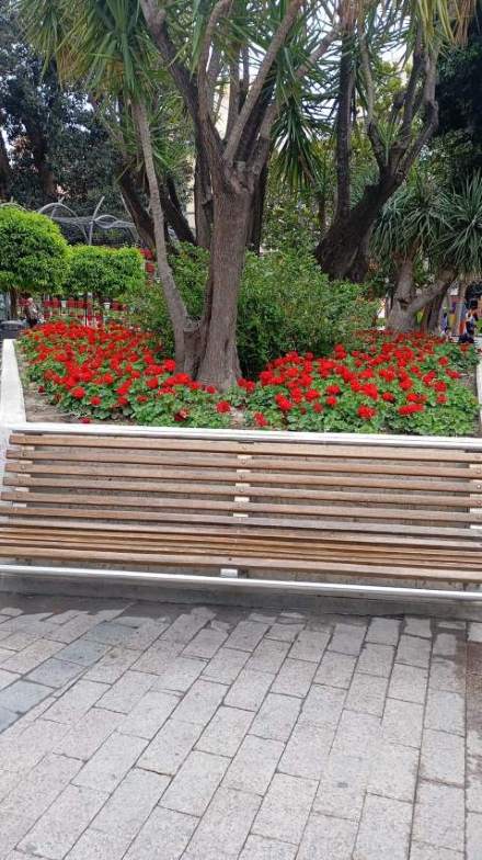 Jardín 74