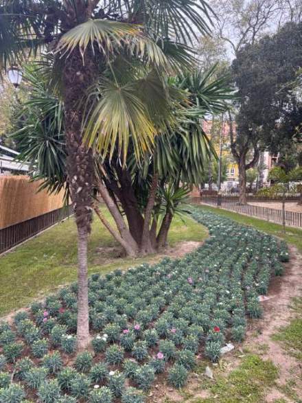 Jardín 66